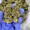 memory loss strain
