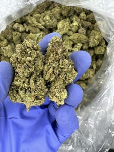 memory loss strain