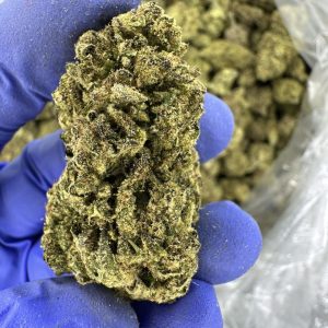 memory loss strain