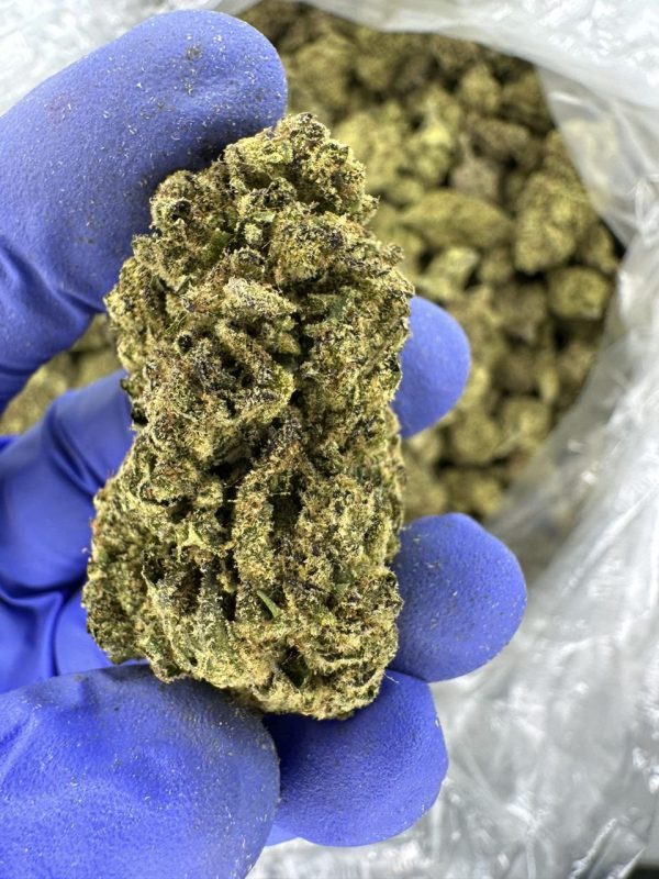 memory loss strain