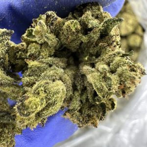 memory loss strain