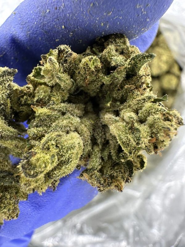 memory loss strain