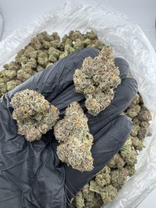 lemon cherry gelato strain