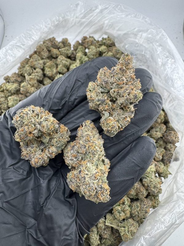 lemon cherry gelato strain