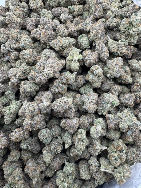 lemon cherry gelato strain