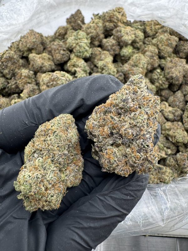 lemon cherry gelato strain
