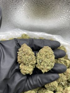 mac 1 strain