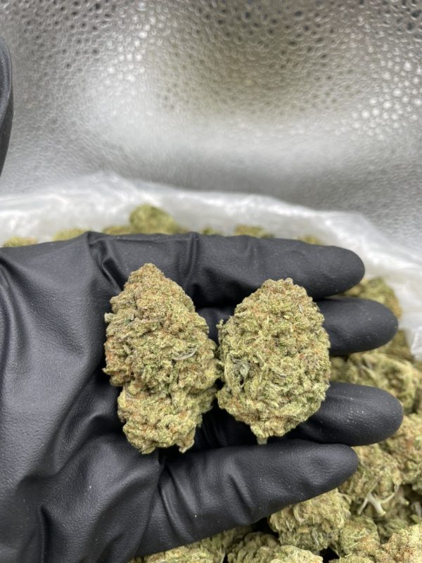 mac 1 strain