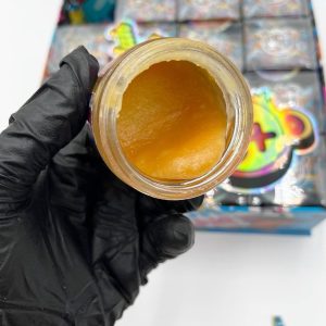 buddah bear wax