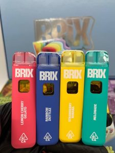 brix disposable