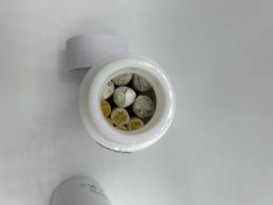 710 labs pre roll