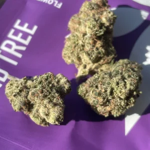 kind tree strain