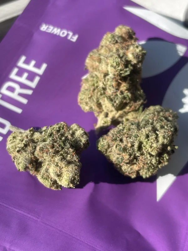 kind tree strain