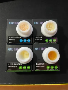 kind tree live resin
