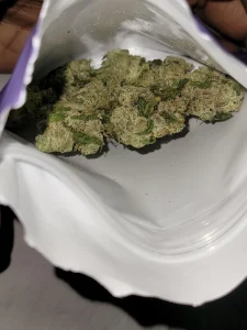kind tree strain