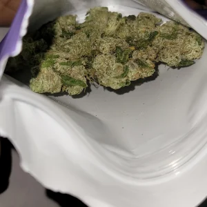kind tree strain