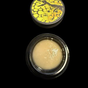 dino squish rosin
