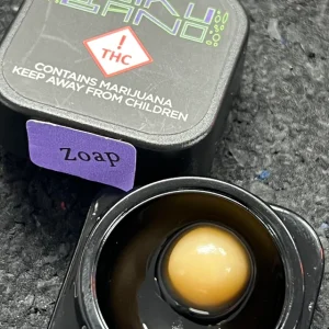 soiku bano rosin