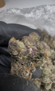 midnight runtz strain