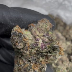 midnight runtz strain