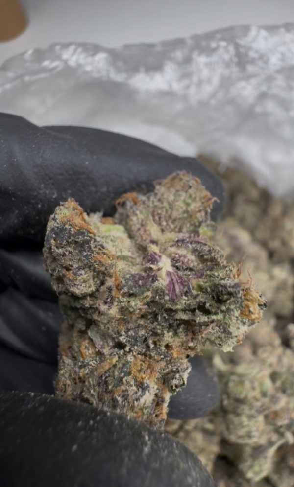 midnight runtz strain