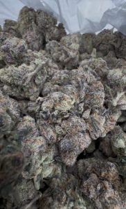 midnight runtz strain