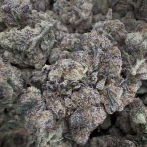 midnight runtz strain