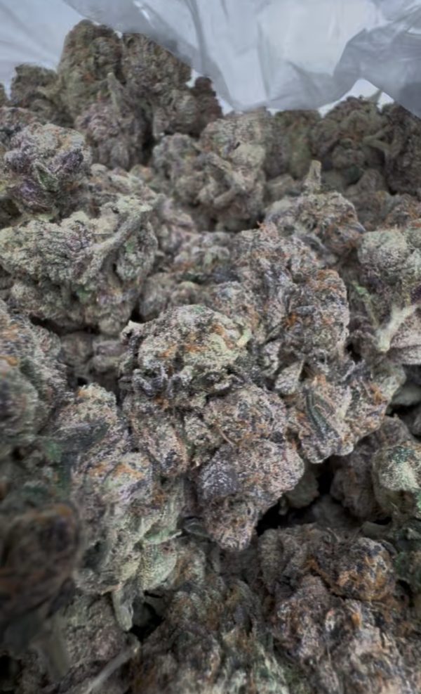 midnight runtz strain