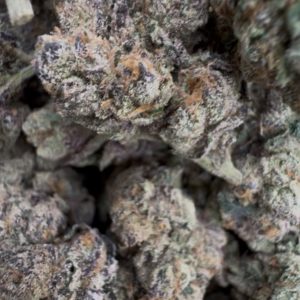 midnight runtz strain