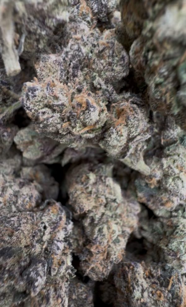 midnight runtz strain