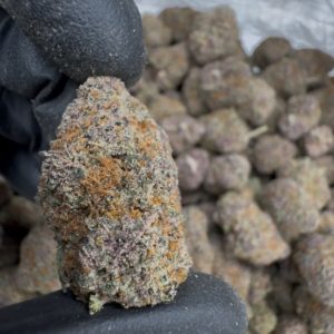 tres leches strain