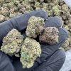 wham strain
