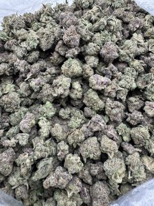 wham strain