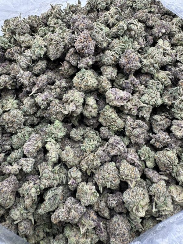 wham strain
