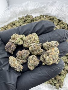 wham strain