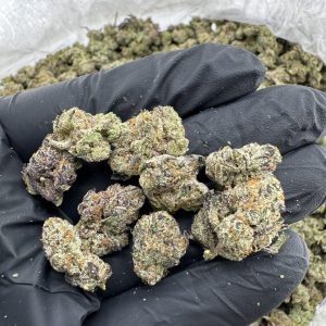 wham strain