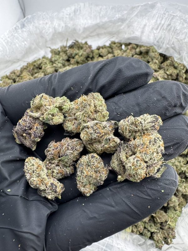 wham strain