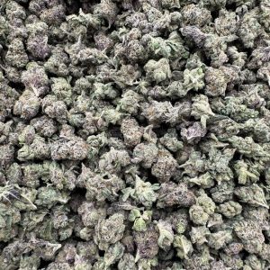 wham strain