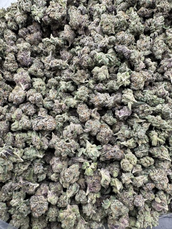 wham strain