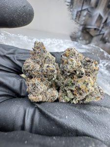 midnight runtz strain