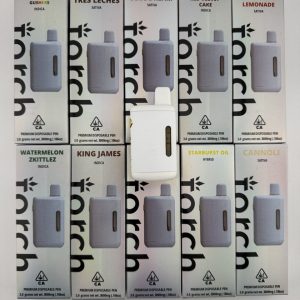 torch disposable