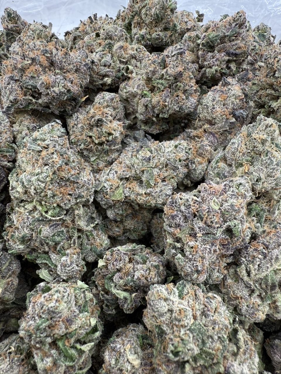 bubble gum runtz strain bubble gum runtz strain