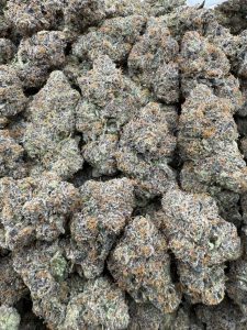 bubble gum runtz strain