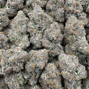 bubble gum runtz strain