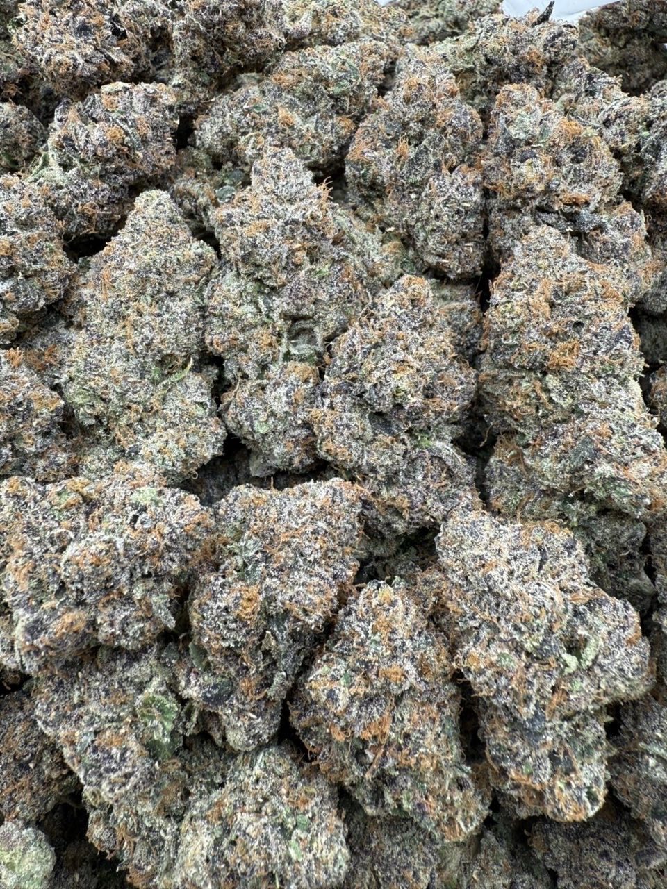 bubble gum runtz strain bubble gum runtz strain