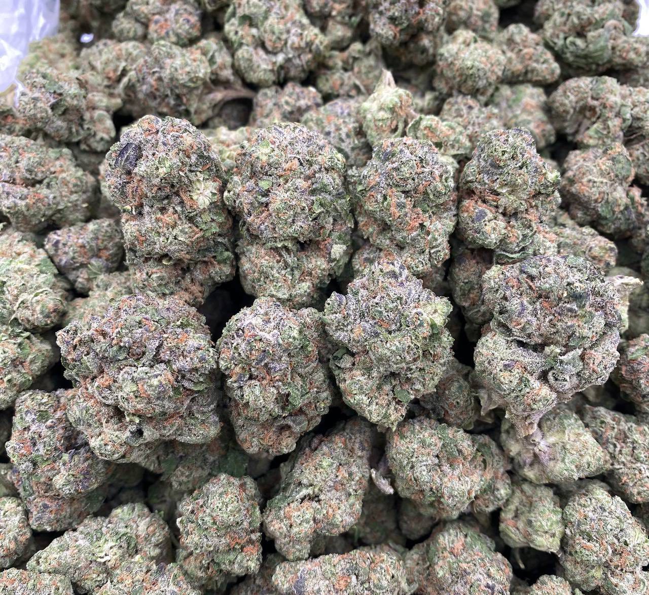 euphoria strain euphoria strain