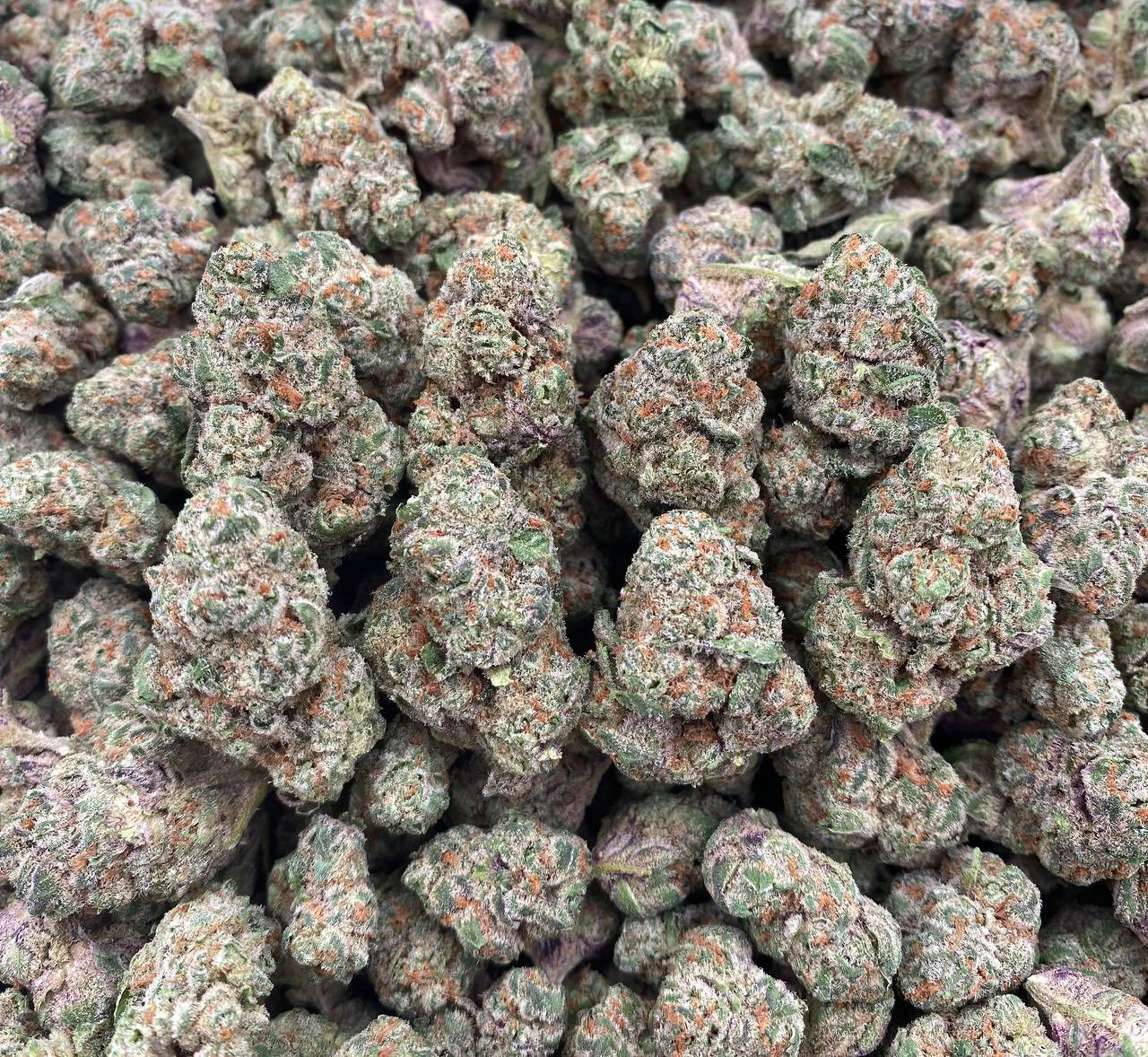 euphoria strain euphoria strain