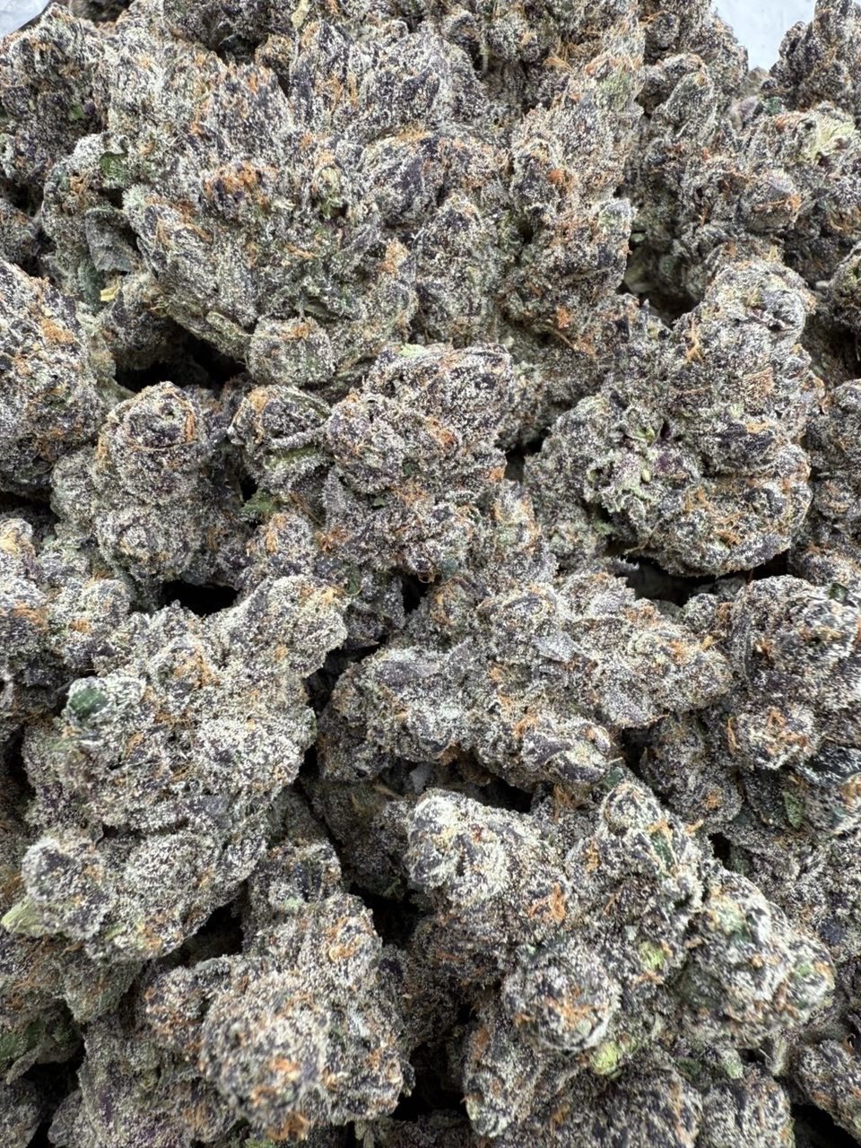 purple pez strain purple pez strain