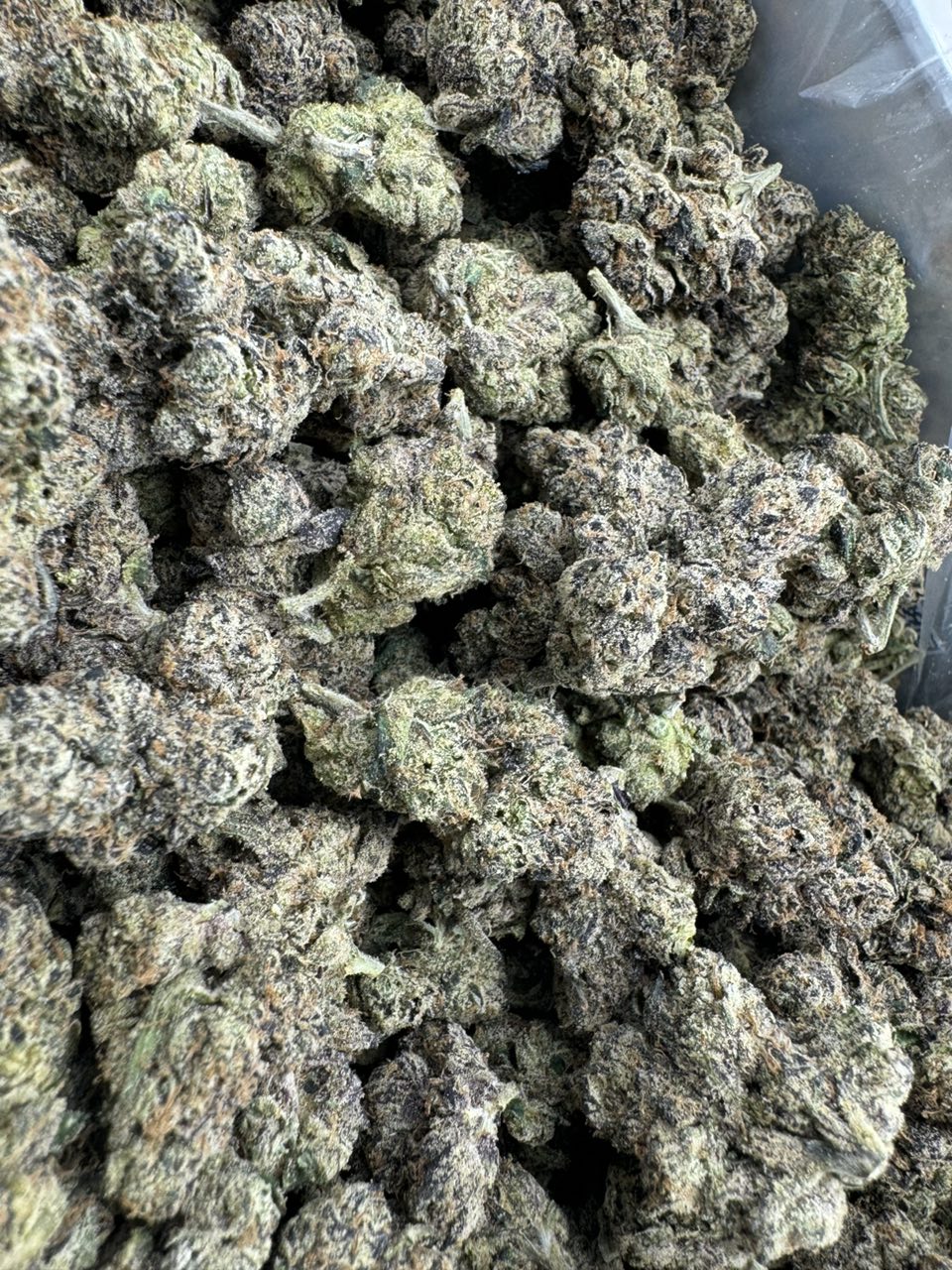 hard candy strain hard candy strain