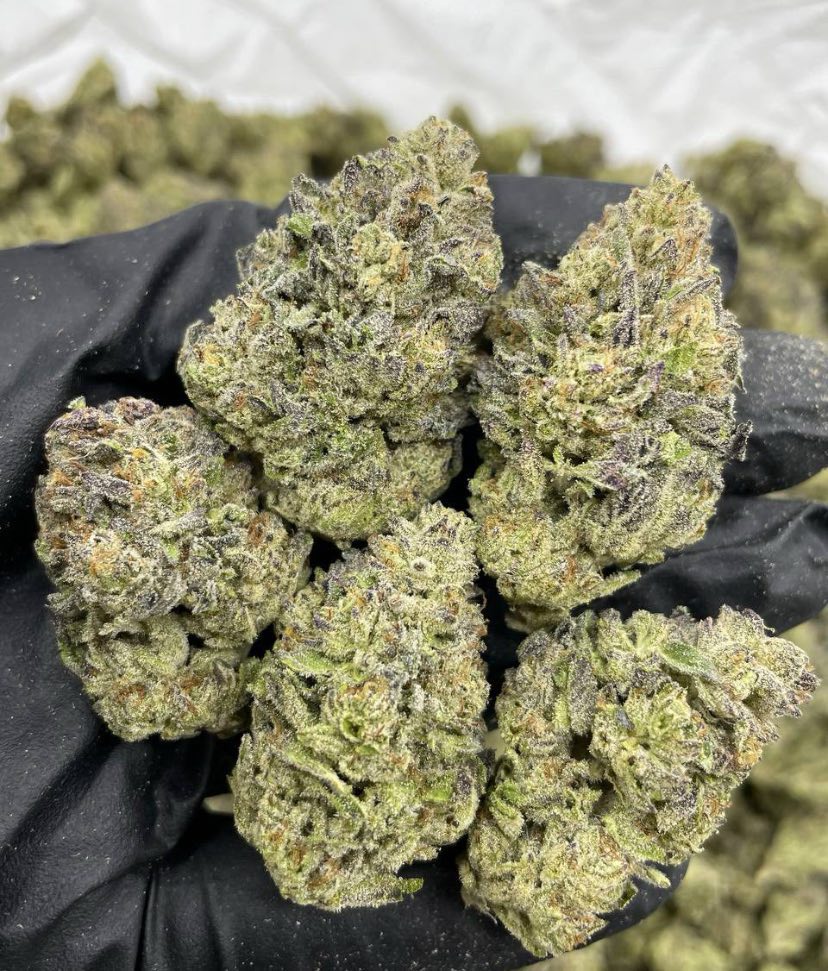 blue nerdz strain blue nerdz strain